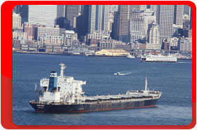 Китай. Далянь. Выставки