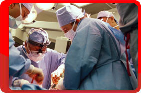 Китай. Далянь. Выставки