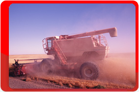 �����. ����������. ��������