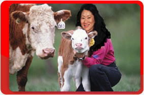 �����. ����������. ��������