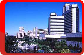 �����, �����, ����� Capital 4*