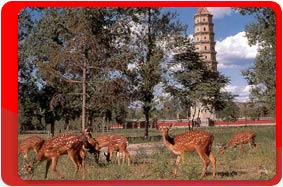 �����, �����, ���� 