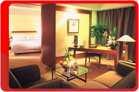 �����, �����, ����� International 5*