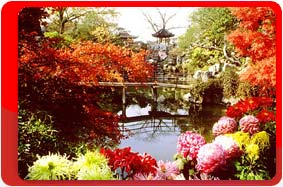 �����, ������, ��� ��������� ���������