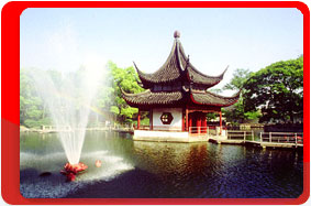 �����, ������, ���� �����. 