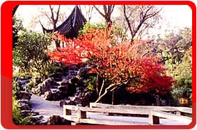 Китай, Циндао, чайный домик