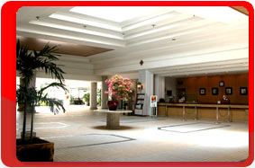 Остров Сайпан, Отель Saipan Grand Hotel 3*+