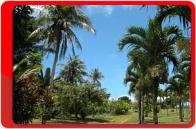 Остров Сайпан, Отель Ocean View Hotel 2*+ расположен в туристическом и коммерческом центре острова Сайпан.