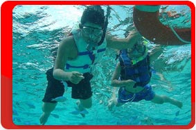 ���������� �������, ������ ������, ����� �� ����.