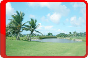 ���������� �������, ������ ������, ���� ��� ������