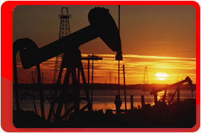 ������������� ��������. ����������